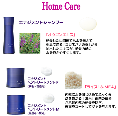 HomeCare1