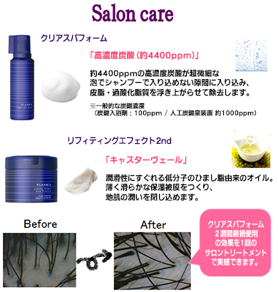 Saloncare2