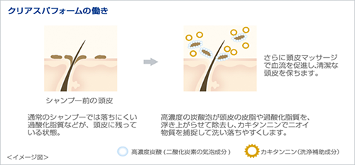 クリアスパフォームの働き