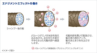 エナジメントエフェクトの働き